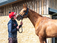 BP200326-60 - It's Hard To Know